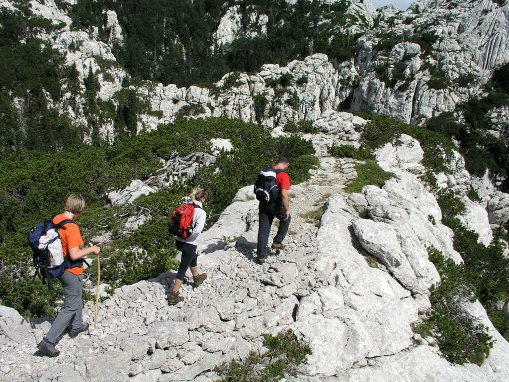 Apartmani Mate Vrban Karlobag Esterno foto